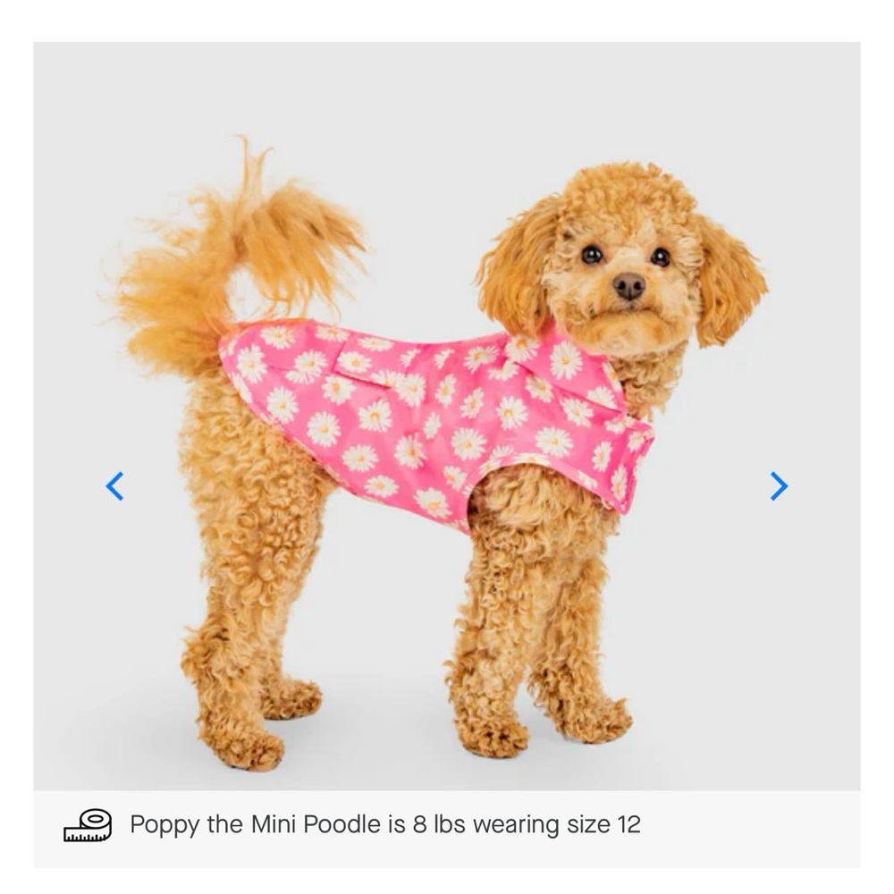 Pick Me Poncho by Canada Pooch